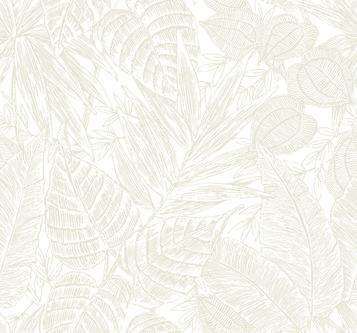 A-Street Prints Brentwood Bone Palm Leaves Wallpaper by Scott Living