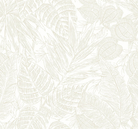 A-Street Prints Brentwood Bone Palm Leaves Wallpaper by Scott Living