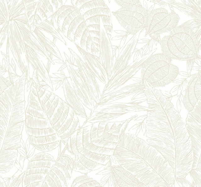 A-Street Prints Brentwood Bone Palm Leaves Wallpaper by Scott Living