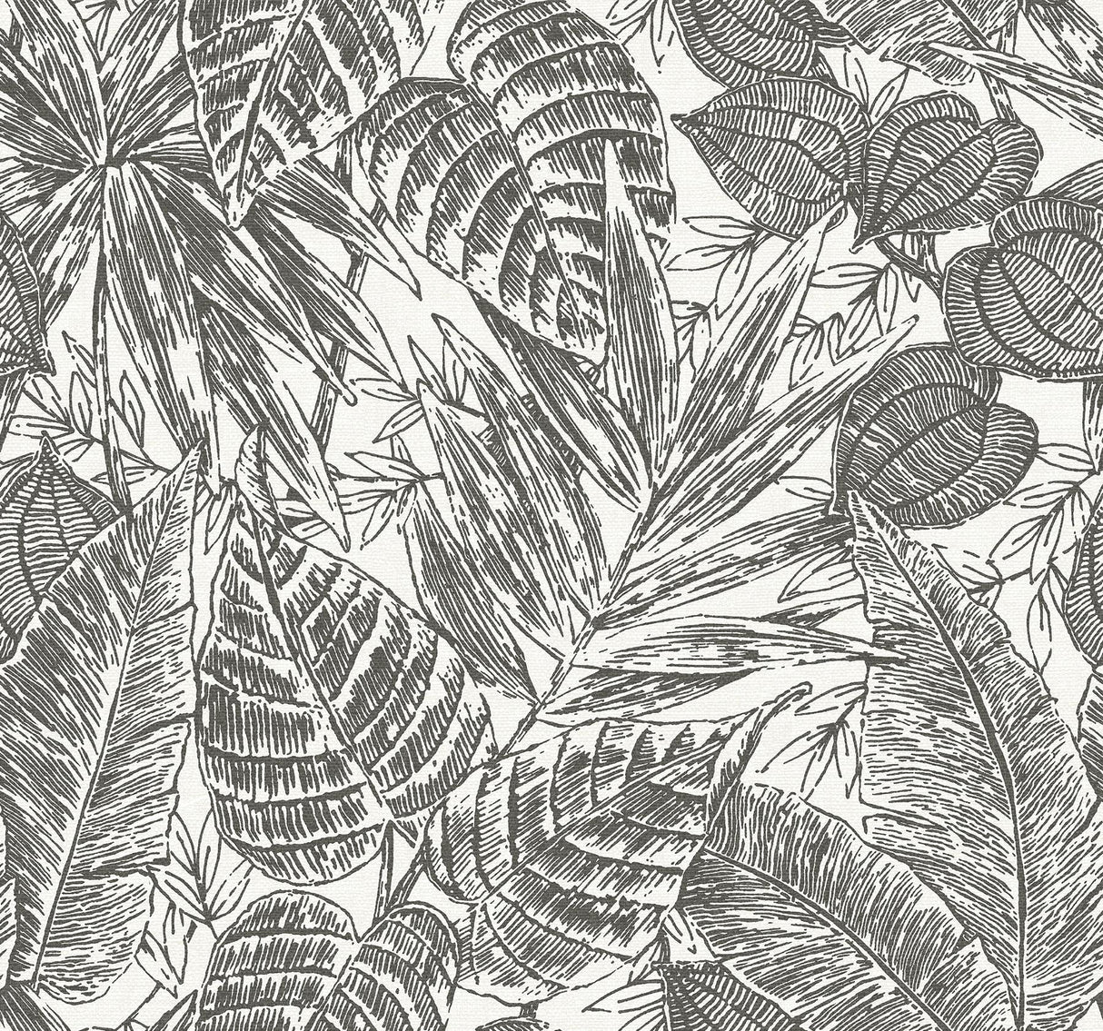 A-Street Prints Brentwood Black Palm Leaves Wallpaper by Scott Living
