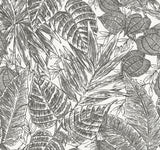 A-Street Prints Brentwood Black Palm Leaves Wallpaper by Scott Living