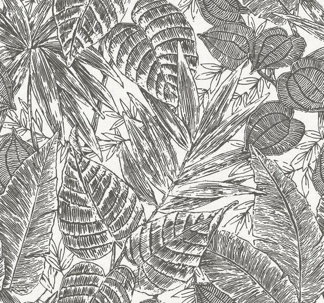 A-Street Prints Brentwood Black Palm Leaves Wallpaper by Scott Living