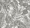 A-Street Prints Brentwood Black Palm Leaves Wallpaper By Scott Living