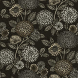 Brewster Home Fashions Zalipie Black Floral Trail Wallpaper