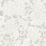 A-Street Prints Turi Sage Twining Vines Wallpaper