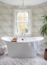 A-Street Prints Vision Pearl Stipple Clouds Wallpaper