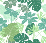 A-Street Prints Medellin Green Rainforest Floor Wallpaper