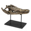 NOIR Brass Alligator On Stand Large