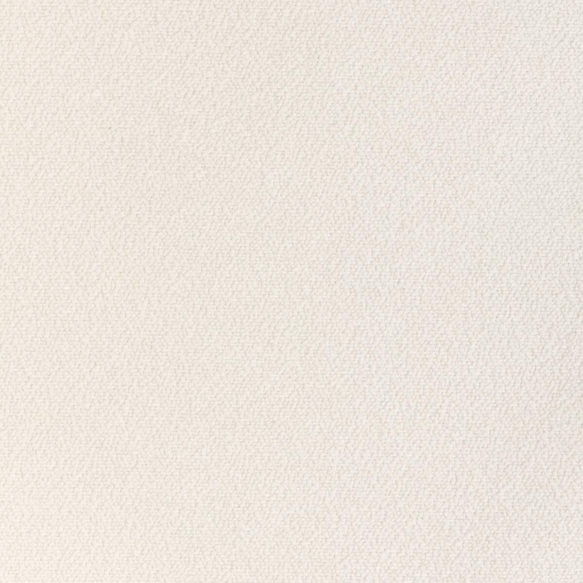 Kravet 36980 36980-101 Fabric