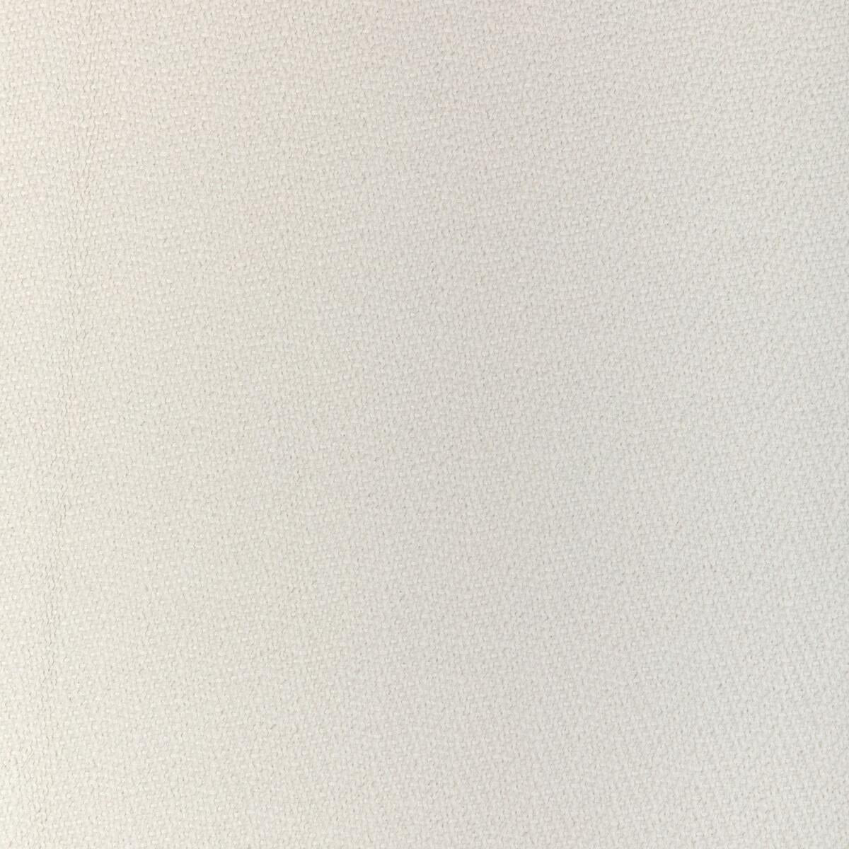 Kravet SIMS CHEVRON SALT Fabric