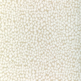 Kravet MULFORD CREAM Upholstery Fabric
