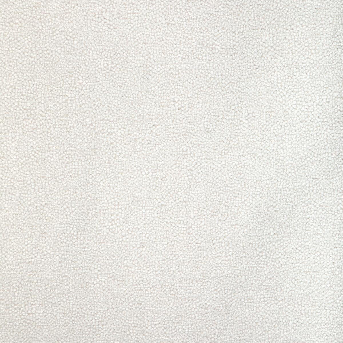 Kravet MULFORD SALT Fabric