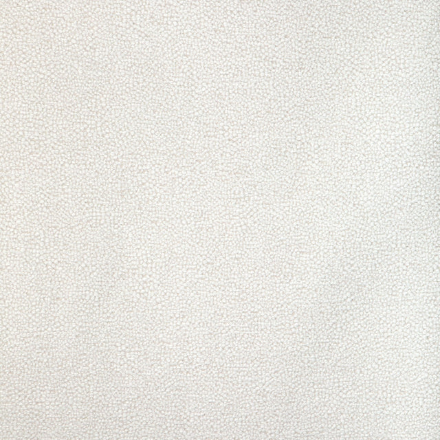 Kravet MULFORD SALT Upholstery Fabric