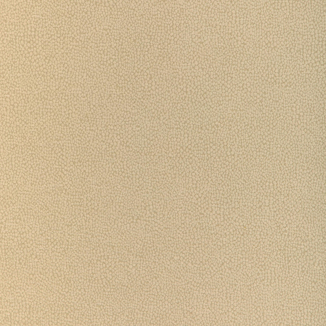 Kravet MULFORD AMBER Upholstery Fabric