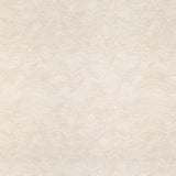 Kravet WATERY MOTION OAT Upholstery Fabric