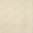 Kravet STEP ABOVE CHABLIS Upholstery Fabric