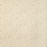 Kravet STEP ABOVE CHABLIS Fabric