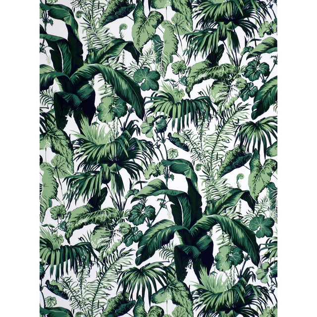 Brunschwig & Fils FEUILLAGE II BLANC Fabric