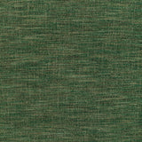 Brunschwig & Fils COMBES TEXTURE FOREST Upholstery Fabric
