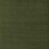 Brunschwig & Fils RHONE WEAVE LEAF Upholstery Fabric