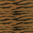 Brunschwig & Fils TIGRE WARP PRINT GOLD Drapery Fabric