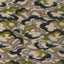 Brunschwig & Fils STRATUS PRINT PERIDOT/GOLD Fabric