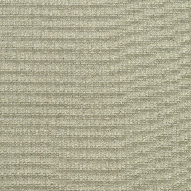 Andrew Martin BIRCH STONE Upholstery Fabric
