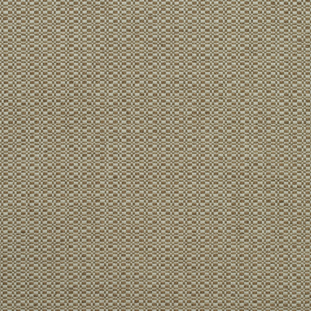 Andrew Martin BIRCH AUTUMN Upholstery Fabric