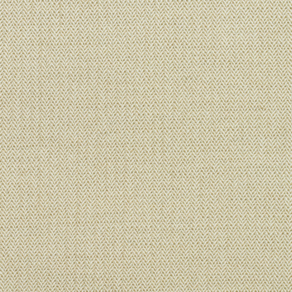 Andrew Martin BIRDS FOOT AUTUMN Upholstery Fabric