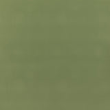 G P & J Baker BAKER HOUSE FR VELVET GRASS Upholstery Fabric