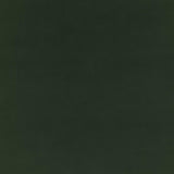 G P & J Baker BAKER HOUSE FR VELVET FOREST Upholstery Fabric