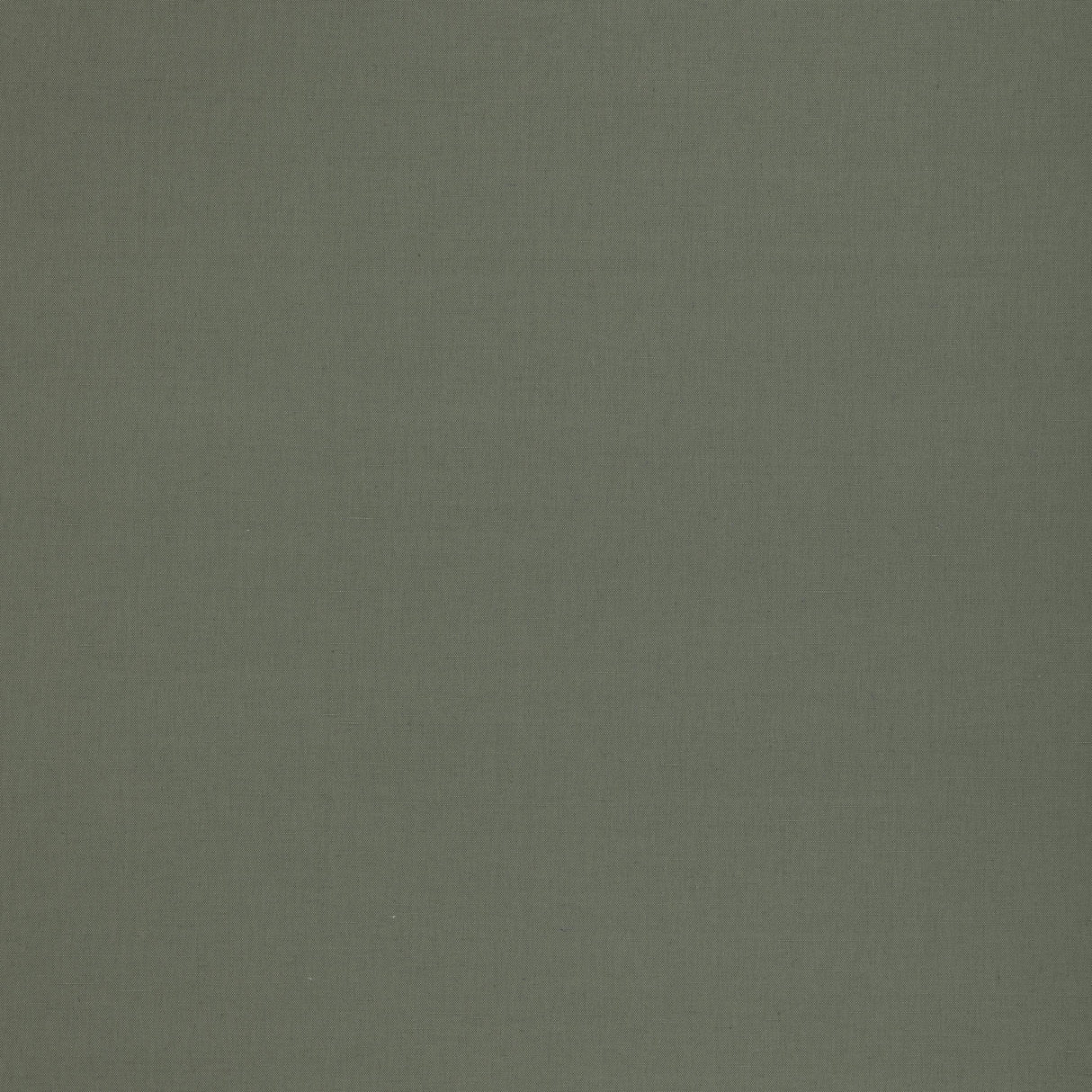 G P & J Baker KEMBLE FERN Drapery Fabric