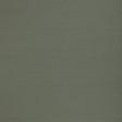 G P & J Baker KEMBLE FERN Drapery Fabric