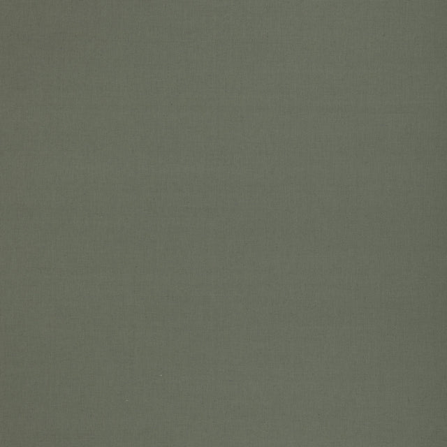 G P & J Baker KEMBLE FERN Drapery Fabric