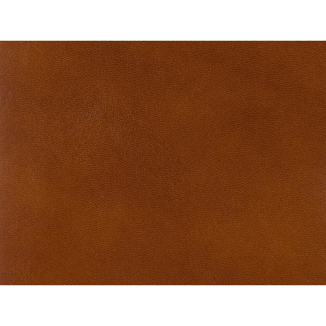 Brunschwig & Fils OLD ENGLISH ANTIQUES LEATHER BRANDY Upholstery Fabric