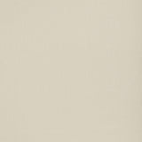 Threads STRAND IVORY Drapery Fabric