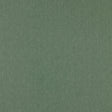 Clarke & Clarke ORLA HERB Upholstery Fabric