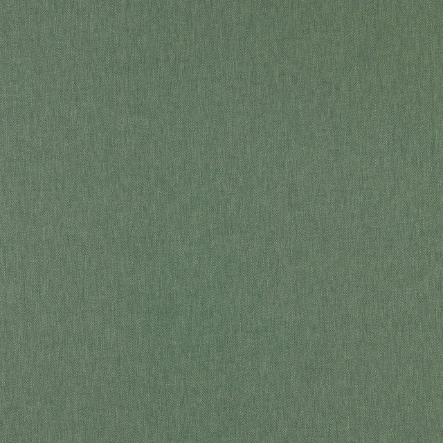 Clarke & Clarke ORLA HERB Upholstery Fabric