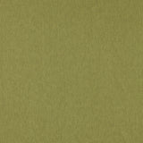 Clarke & Clarke ORLA OLIVE Upholstery Fabric