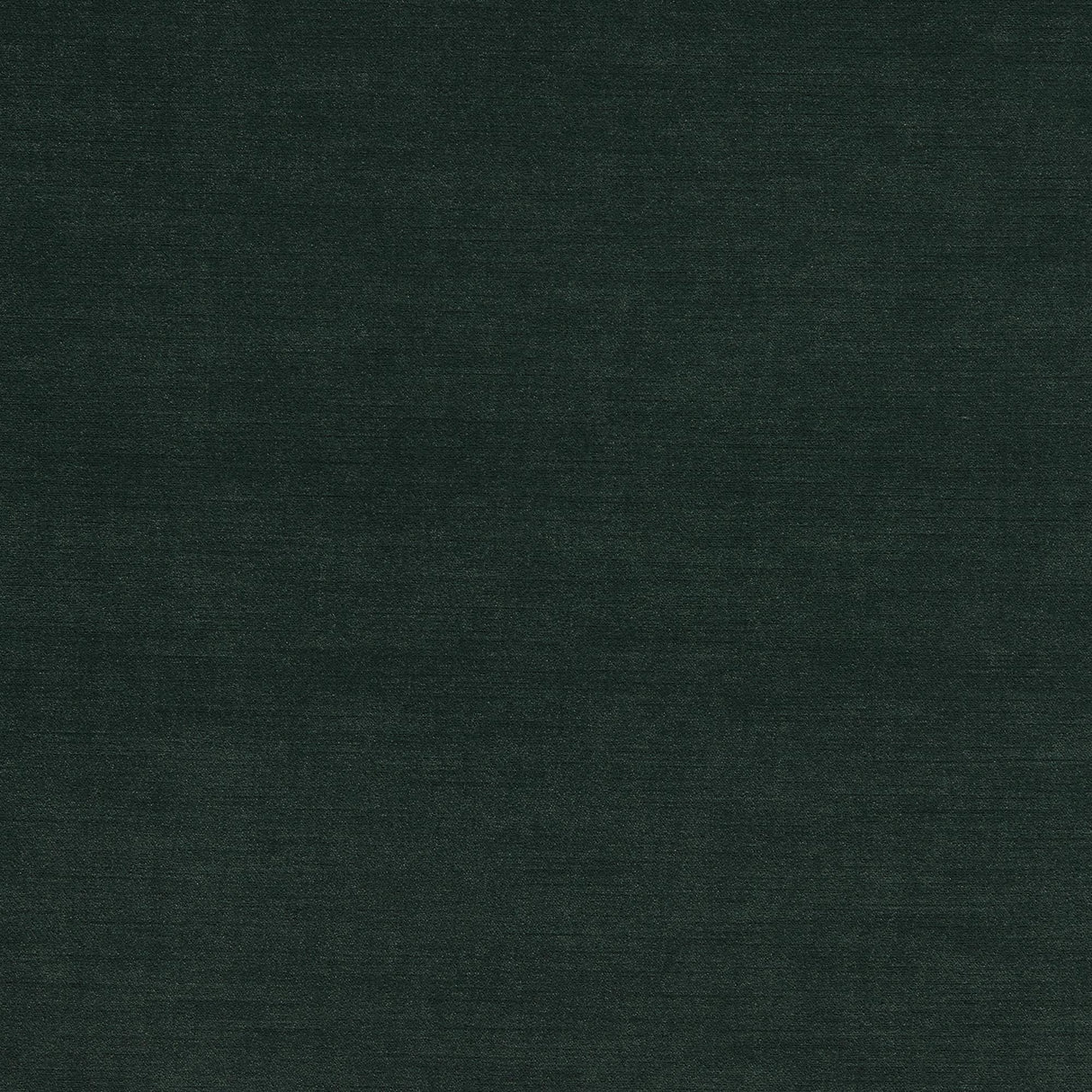 Clarke & Clarke RIVA FOREST Upholstery Fabric