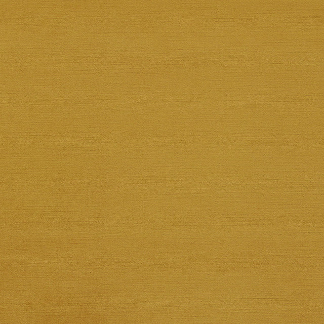 Clarke & Clarke RIVA HONEY Upholstery Fabric