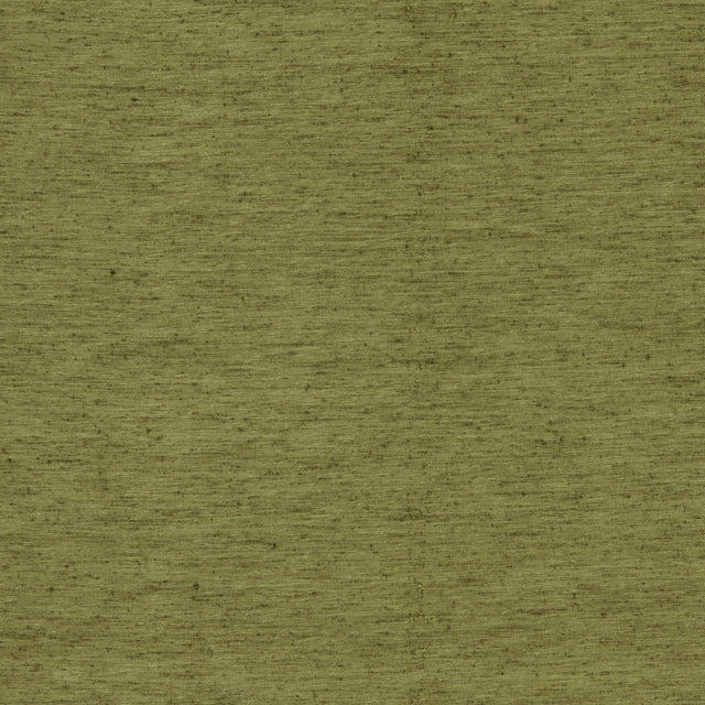 Clarke & Clarke RAVELLO OLIVE Drapery Fabric