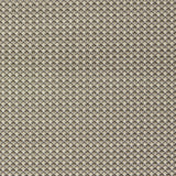 Clarke & Clarke LYRA NATURAL Upholstery Fabric