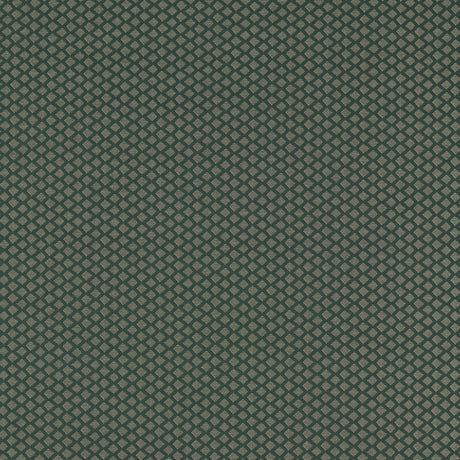 Clarke & Clarke EQUATOR FOREST Upholstery Fabric