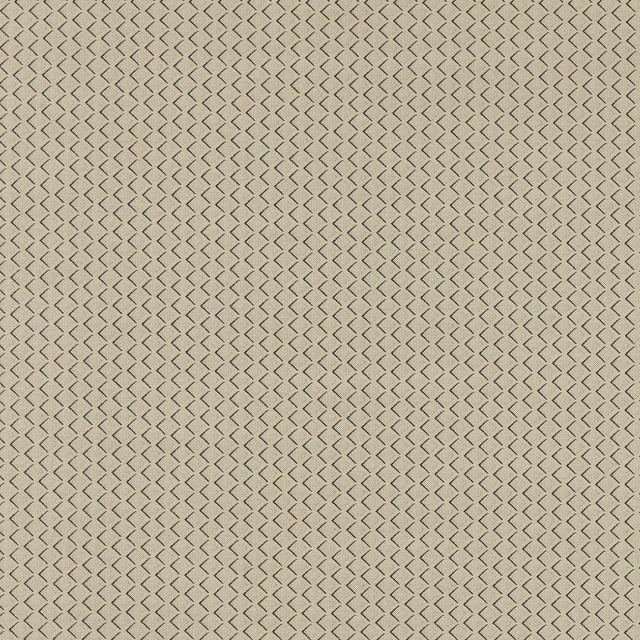 Clarke & Clarke EQUATOR NATURAL Upholstery Fabric