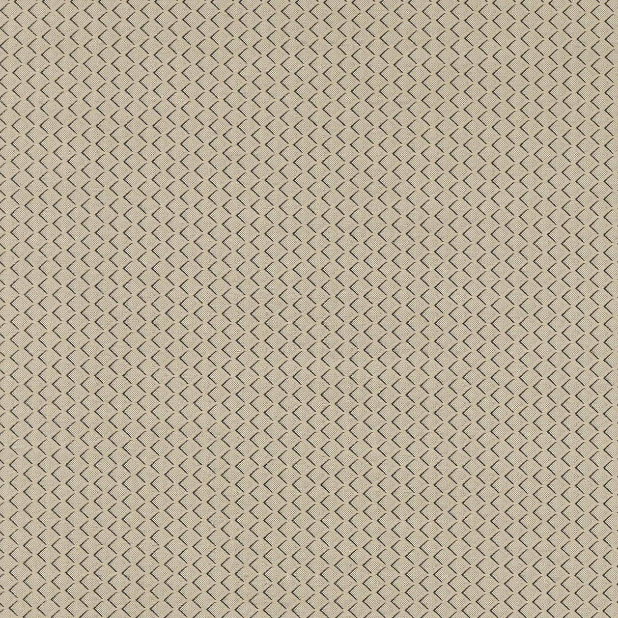 Clarke & Clarke EQUATOR NATURAL Upholstery Fabric