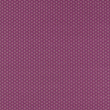 Clarke & Clarke EQUATOR RASPBERRY Upholstery Fabric