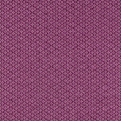Clarke & Clarke EQUATOR RASPBERRY Upholstery Fabric