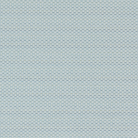 Clarke & Clarke PAVO DUCKEGG Upholstery Fabric