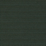 Clarke & Clarke PAVO FOREST Upholstery Fabric